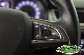 Skoda Rapid 1.6 TDI Clima Greentech Ambition picture 15