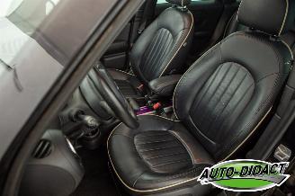 Mini Countryman 1.6 Cooper S Pano Navi AircoChili picture 22