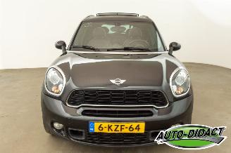 Mini Countryman 1.6 Cooper S Pano Navi AircoChili picture 32