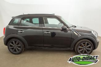 Mini Countryman 1.6 Cooper S Pano Navi AircoChili picture 36