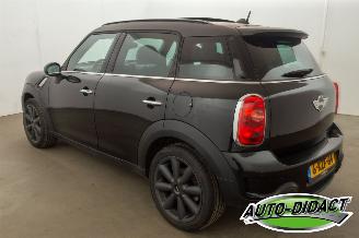Mini Countryman 1.6 Cooper S Pano Navi AircoChili picture 3