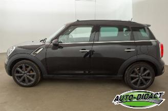 Mini Countryman 1.6 Cooper S Pano Navi AircoChili picture 35
