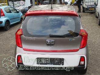 Kia Picanto Picanto (TA) Hatchback 1.0 12V (G3LA) [49kW]  (05-2011/06-2017) picture 6