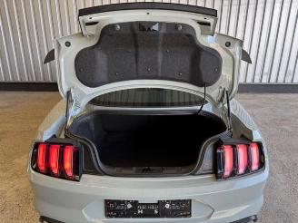 Ford Mustang 5.0 V8 Mach 1 Coupe picture 11