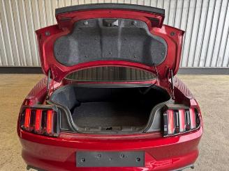 Ford Mustang GT V8 5.0 Coupe picture 11