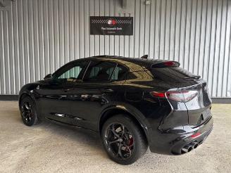 Alfa Romeo Stelvio Quadrifoglio Q4 Carbon / Pano / VOLL picture 4