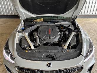 Kia Stinger GT 4WD Panorama / Leder picture 17