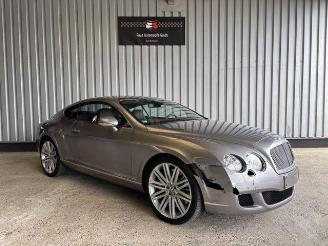 Bentley Continental GT 2e Hand W12 Soft-Close picture 8