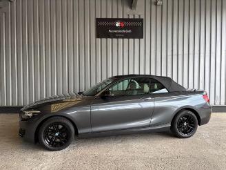  BMW 2-serie 0d Advantage Cabriolet LED / Navigation 2018/9