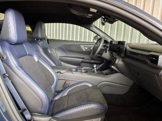 Ford Mustang Fastback 5.0 Ti-VCT V8 334 kW Dark Horse picture 21
