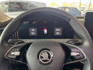 Skoda Superb Combi 2.0 TDI Selection R-Kamera / LED picture 22