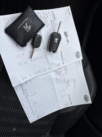 Peugeot 2008 1.2 PureTech Crossway picture 15