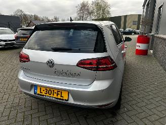 Volkswagen e-Golf E-Golf picture 14