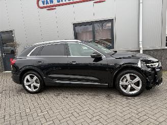 Audi E-tron 55 Quattro Advanced Pro Line Plus 95kWh picture 13