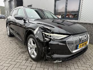 Audi E-tron 55 Quattro Advanced Pro Line Plus 95kWh picture 19