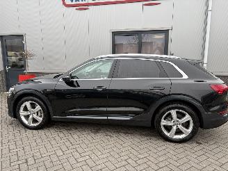 Audi E-tron 55 Quattro Advanced Pro Line Plus 95kWh picture 31