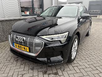 Audi E-tron 55 Quattro Advanced Pro Line Plus 95kWh picture 4