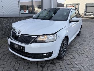 Skoda Rapid 1.2 TSI Greentech Edition picture 26