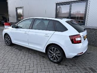 Skoda Rapid 1.2 TSI Greentech Edition picture 29