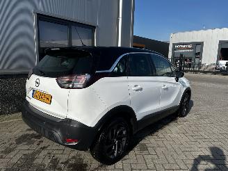 Opel Crossland 1.2 120 Jaar Edition picture 6