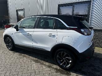Opel Crossland 1.2 120 Jaar Edition picture 18