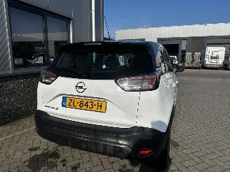Opel Crossland 1.2 120 Jaar Edition picture 5