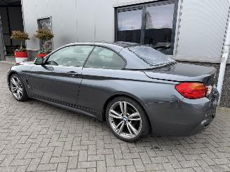 BMW 4-serie 420i Centennial High Executive Cabrio picture 22