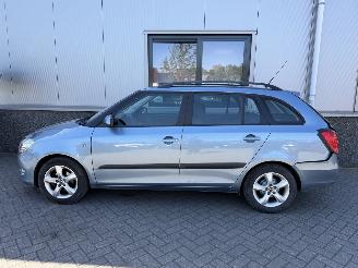Skoda Fabia 1.2 TDI Greenline Combi picture 11
