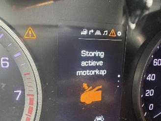Hyundai Tucson 1.6 T-GDi 130kw Premium picture 30