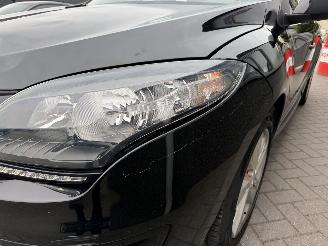 Renault Mégane 1.2 TCe Collection Estate picture 13