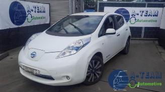 Nissan Leaf Leaf (ZE0), Hatchback, 2010 / 2017 Leaf picture 1