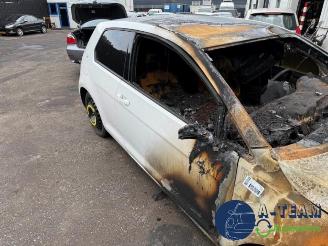 Volkswagen Golf Golf VII (AUA), Hatchback, 2012 / 2021 1.6 TDI 16V picture 11