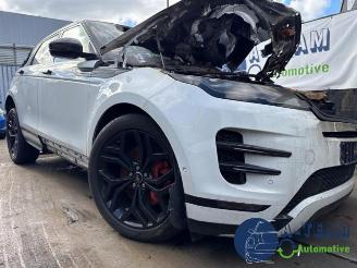 Land Rover Range Rover Range Rover Evoque II (LZC/LZS/LZH), SUV, 2018 2.0 P250 MHEV 16V AWD picture 4