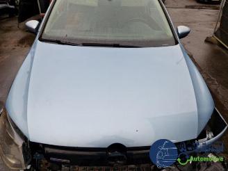 Volkswagen Polo Polo V (6R), Hatchback, 2009 / 2017 1.2 TDI 12V BlueMotion picture 12