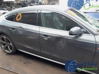 Audi 50 A5 Sportback (8TA), Liftback, 2009 / 2017 2.0 TDI 16V picture 9