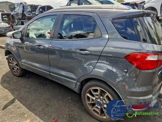 Ford EcoSport EcoSport (JK8), SUV, 2013 1.0 EcoBoost 12V 125 picture 9