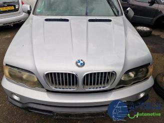 BMW X5 X5 (E53), SUV, 2000 / 2006 4.4 V8 32V picture 3