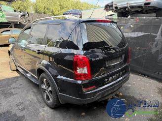Ssang yong Rexton Rexton W, SUV, 2012 / 2017 2.2 RX 220 E-XDI 16V 4WD picture 6
