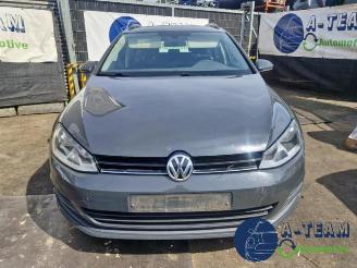 Volkswagen Golf Golf VII Variant (AUVV), Combi, 2013 / 2021 1.6 TDI BlueMotion 16V picture 2