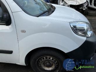 Renault Kangoo Kangoo Express (FW), Van, 2008 1.5 dCi 75 FAP picture 27