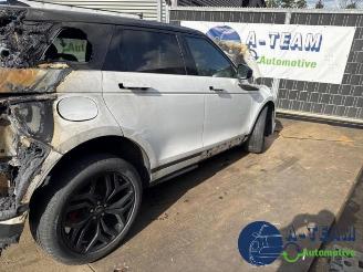 Land Rover Range Rover Range Rover Evoque II (LZC/LZS/LZH), SUV, 2018 2.0 P250 MHEV 16V AWD picture 6