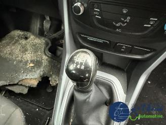 Ford B-Max B-Max (JK8), MPV, 2012 / 2017 1.0 EcoBoost 12V 100 picture 17