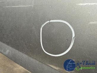 Fiat Doblo Doblo Cargo (263), Van, 2010 1.3 MJ 16V DPF Euro 5 picture 30