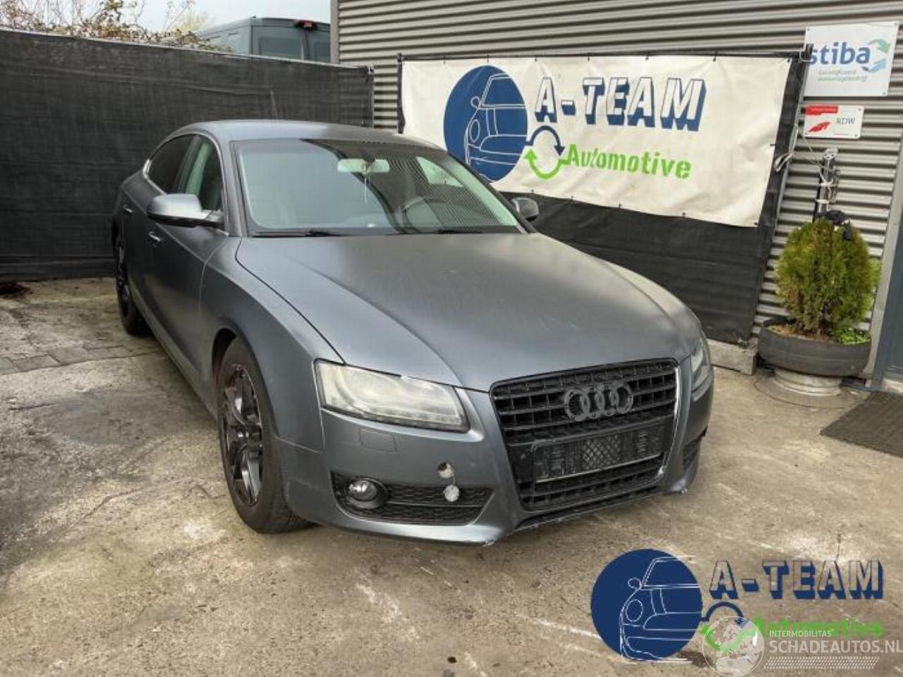 Audi 50 A5 Sportback (8TA), Liftback, 2009 / 2017 2.0 TDI 16V