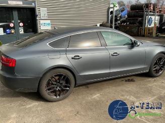 Audi 50 A5 Sportback (8TA), Liftback, 2009 / 2017 2.0 TDI 16V picture 13