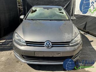 Volkswagen Golf Golf VII (AUA), Hatchback, 2012 / 2021 2.0 TDI 16V picture 3