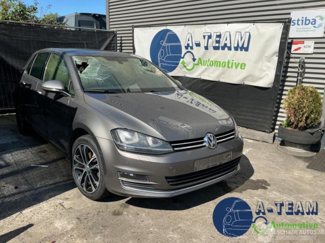 Volkswagen Golf Golf VII (AUA), Hatchback, 2012 / 2021 2.0 TDI 16V