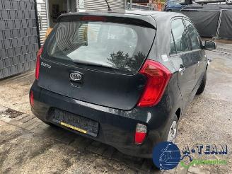 Kia Picanto Picanto (TA), Hatchback, 2011 / 2017 1.0 12V picture 16