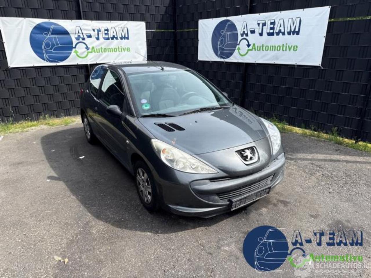 Peugeot 206 206+ (2L/M), Hatchback, 2009 / 2013 1.1 XR,XS