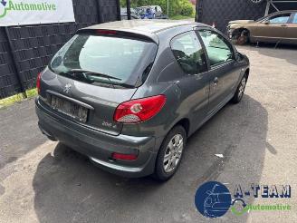 Peugeot 206 206+ (2L/M), Hatchback, 2009 / 2013 1.1 XR,XS picture 9